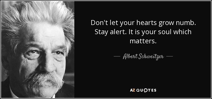 Don't let your hearts grow numb. Stay alert. It is your soul which matters. - Albert Schweitzer