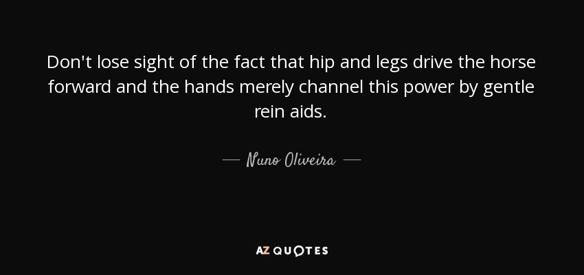 Don't lose sight of the fact that hip and legs drive the horse forward and the hands merely channel this power by gentle rein aids. - Nuno Oliveira
