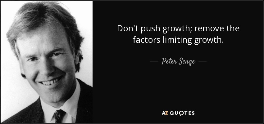 Don't push growth; remove the factors limiting growth. - Peter Senge