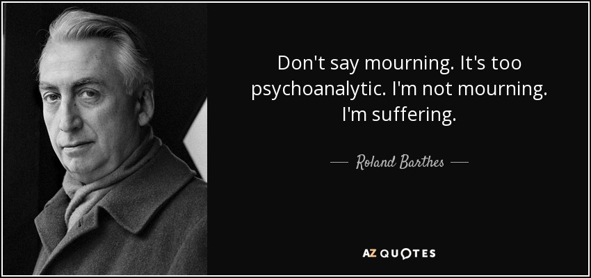 Don't say mourning. It's too psychoanalytic. I'm not mourning. I'm suffering. - Roland Barthes