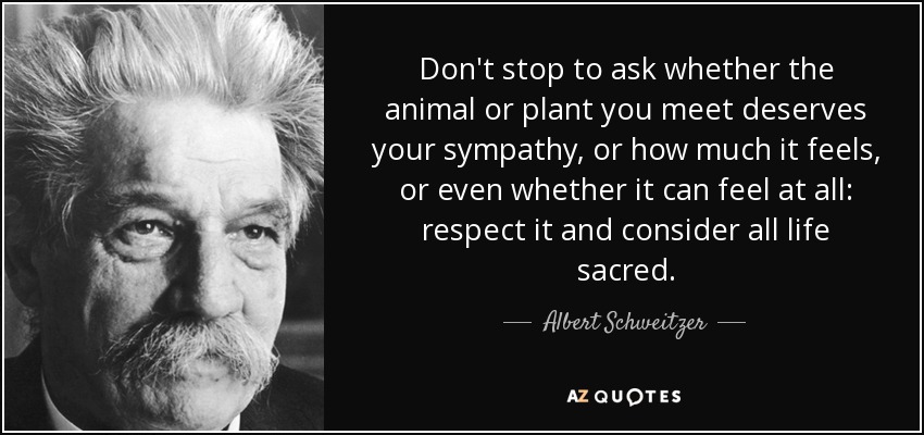 Don't stop to ask whether the animal or plant you meet deserves your sympathy, or how much it feels, or even whether it can feel at all: respect it and consider all life sacred. - Albert Schweitzer