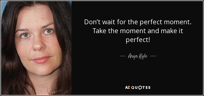 Don’t wait for the perfect moment. Take the moment and make it perfect! - Aryn Kyle