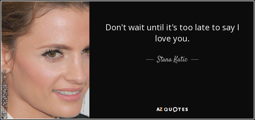 Don't wait until it's too late to say I love you. - Stana Katic