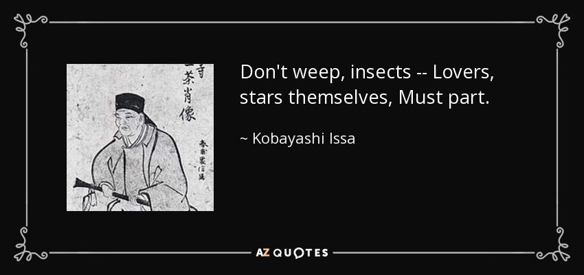 Don't weep, insects -- Lovers, stars themselves, Must part. - Kobayashi Issa