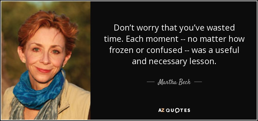 Don’t worry that you’ve wasted time. Each moment -- no matter how frozen or confused -- was a useful and necessary lesson. - Martha Beck