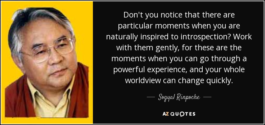 Don't you notice that there are particular moments when you are naturally inspired to introspection? Work with them gently, for these are the moments when you can go through a powerful experience, and your whole worldview can change quickly. - Sogyal Rinpoche