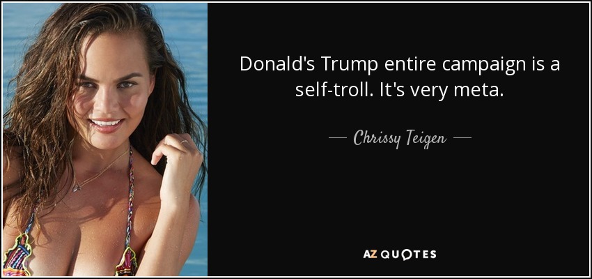 Donald's Trump entire campaign is a self-troll. It's very meta. - Chrissy Teigen