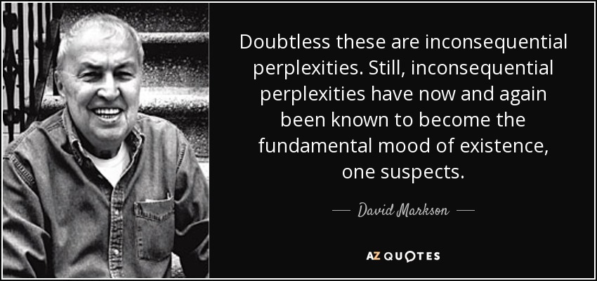 Doubtless these are inconsequential perplexities. Still, inconsequential perplexities have now and again been known to become the fundamental mood of existence, one suspects. - David Markson
