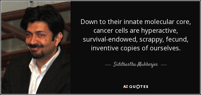 Down to their innate molecular core, cancer cells are hyperactive, survival-endowed, scrappy, fecund, inventive copies of ourselves. - Siddhartha Mukherjee