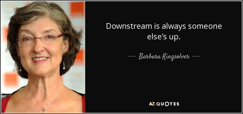 Downstream is always someone else's up. - Barbara Kingsolver