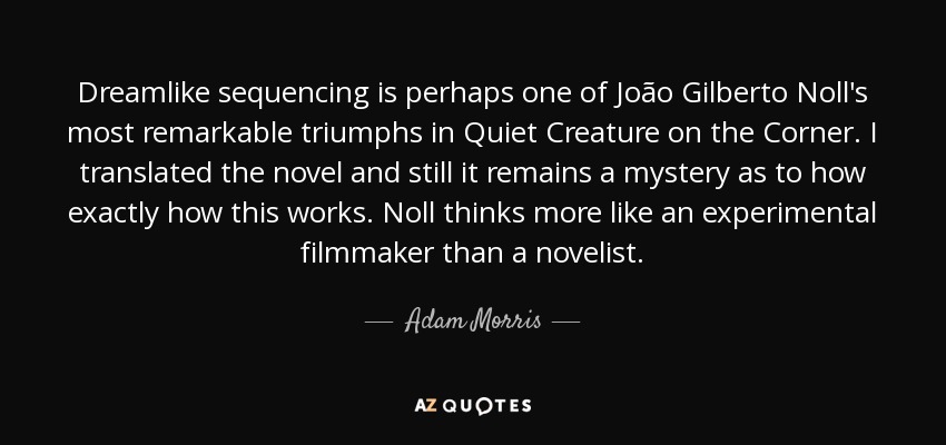 Dreamlike sequencing is perhaps one of João Gilberto Noll's most remarkable triumphs in Quiet Creature on the Corner. I translated the novel and still it remains a mystery as to how exactly how this works. Noll thinks more like an experimental filmmaker than a novelist. - Adam Morris