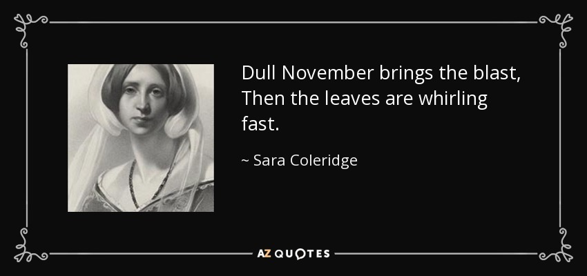 Dull November brings the blast, Then the leaves are whirling fast. - Sara Coleridge