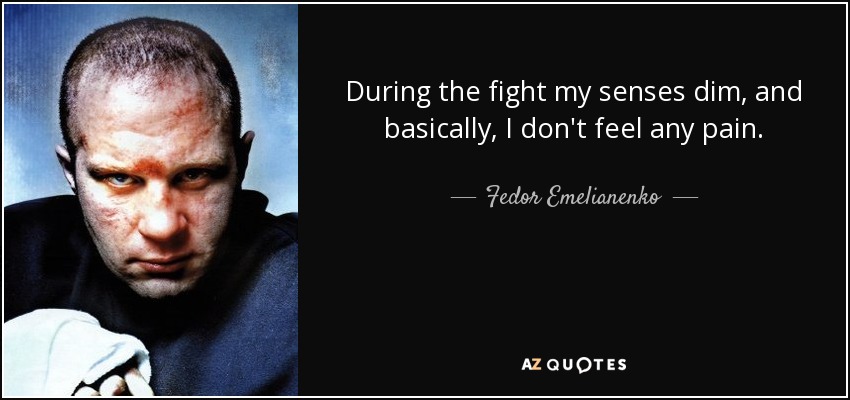 During the fight my senses dim, and basically, I don't feel any pain. - Fedor Emelianenko