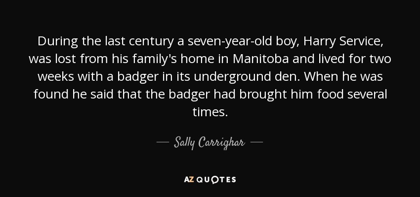 During the last century a seven-year-old boy, Harry Service, was lost from his family's home in Manitoba and lived for two weeks with a badger in its underground den. When he was found he said that the badger had brought him food several times. - Sally Carrighar
