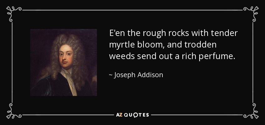 E'en the rough rocks with tender myrtle bloom, and trodden weeds send out a rich perfume. - Joseph Addison