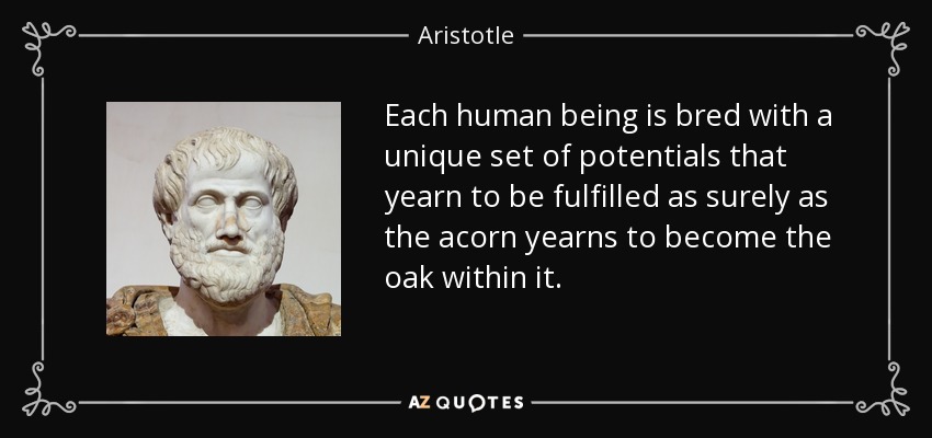 Each human being is bred with a unique set of potentials that yearn to be fulfilled as surely as the acorn yearns to become the oak within it. - Aristotle