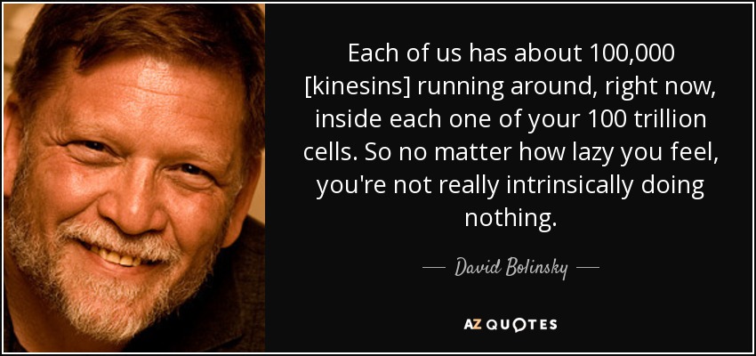 Each of us has about 100,000 [kinesins] running around, right now, inside each one of your 100 trillion cells. So no matter how lazy you feel, you're not really intrinsically doing nothing. - David Bolinsky