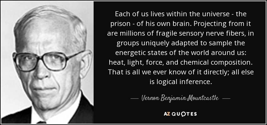 Each of us lives within the universe - the prison - of his own brain. Projecting from it are millions of fragile sensory nerve fibers, in groups uniquely adapted to sample the energetic states of the world around us: heat, light, force, and chemical composition. That is all we ever know of it directly; all else is logical inference. - Vernon Benjamin Mountcastle