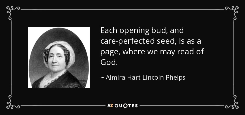 Each opening bud, and care-perfected seed, Is as a page, where we may read of God. - Almira Hart Lincoln Phelps