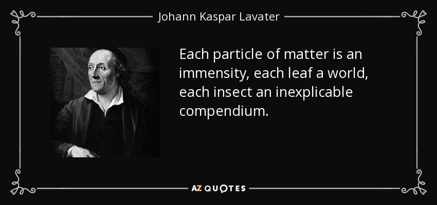 Each particle of matter is an immensity, each leaf a world, each insect an inexplicable compendium. - Johann Kaspar Lavater