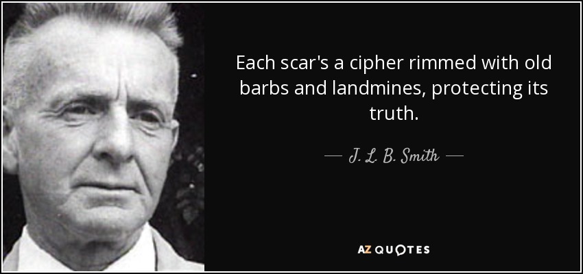 Each scar's a cipher rimmed with old barbs and landmines, protecting its truth. - J. L. B. Smith