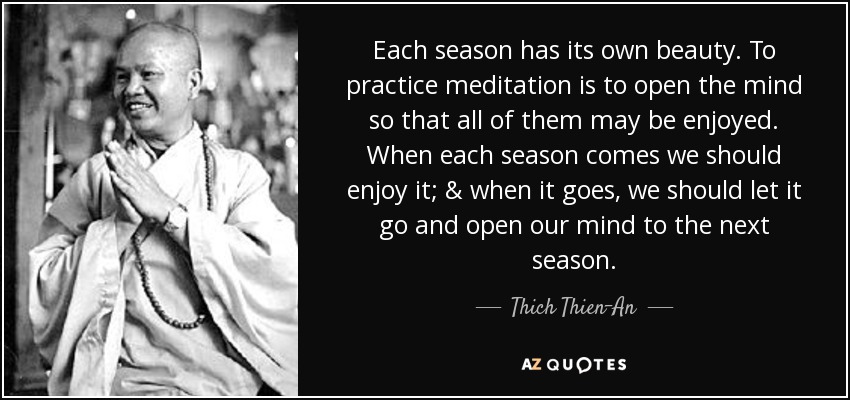 Each season has its own beauty. To practice meditation is to open the mind so that all of them may be enjoyed. When each season comes we should enjoy it; & when it goes, we should let it go and open our mind to the next season. - Thich Thien-An