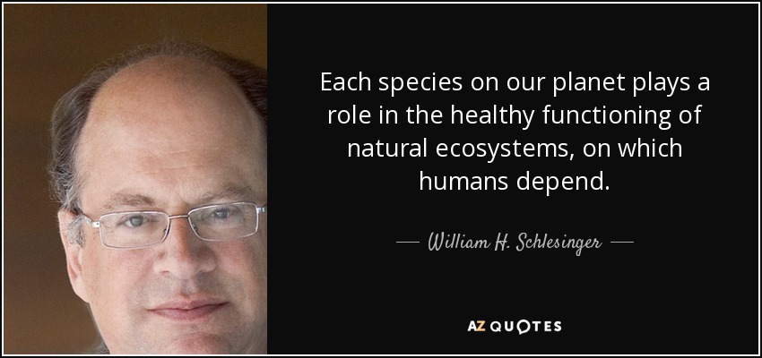 Each species on our planet plays a role in the healthy functioning of natural ecosystems, on which humans depend. - William H. Schlesinger