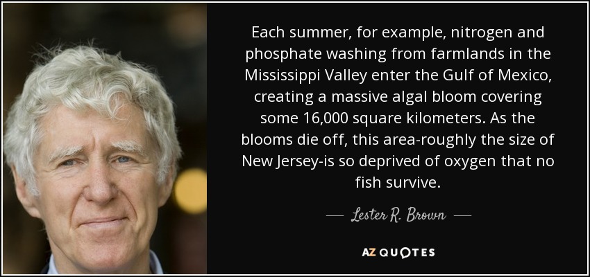 Each summer, for example, nitrogen and phosphate washing from farmlands in the Mississippi Valley enter the Gulf of Mexico, creating a massive algal bloom covering some 16,000 square kilometers. As the blooms die off, this area-roughly the size of New Jersey-is so deprived of oxygen that no fish survive. - Lester R. Brown
