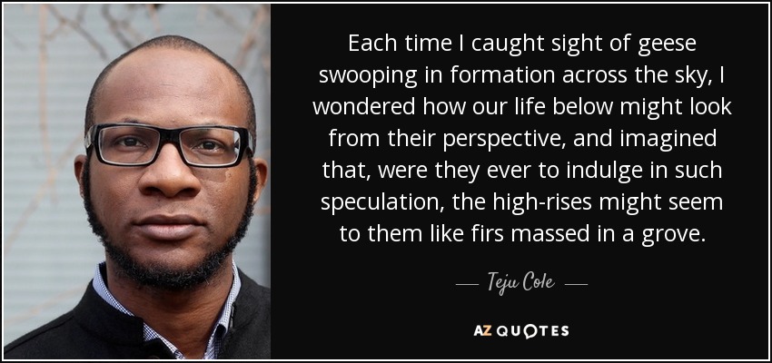 Each time I caught sight of geese swooping in formation across the sky, I wondered how our life below might look from their perspective, and imagined that, were they ever to indulge in such speculation, the high-rises might seem to them like firs massed in a grove. - Teju Cole