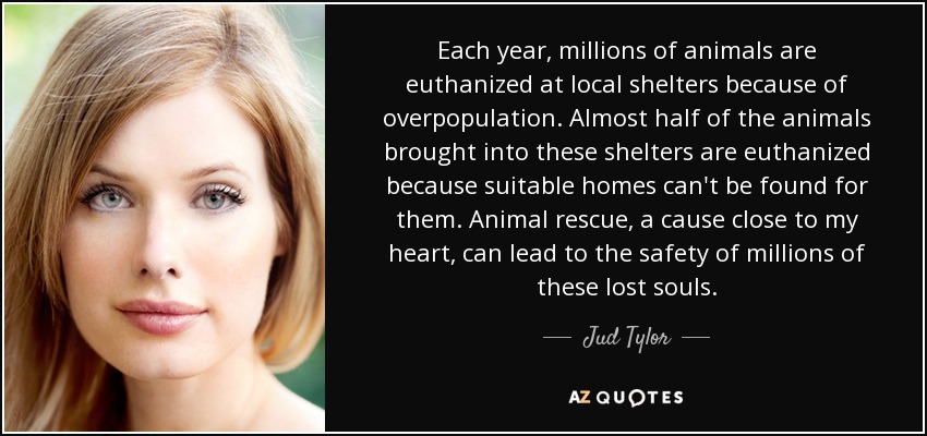 Each year, millions of animals are euthanized at local shelters because of overpopulation. Almost half of the animals brought into these shelters are euthanized because suitable homes can't be found for them. Animal rescue, a cause close to my heart, can lead to the safety of millions of these lost souls. - Jud Tylor