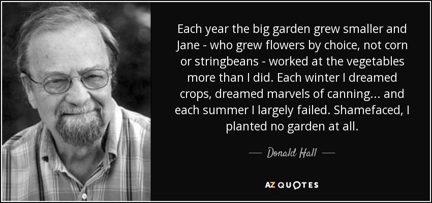 Each year the big garden grew smaller and Jane - who grew flowers by choice, not corn or stringbeans - worked at the vegetables more than I did. Each winter I dreamed crops, dreamed marvels of canning . . . and each summer I largely failed. Shamefaced, I planted no garden at all. - Donald Hall