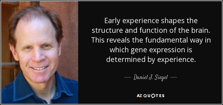 Early experience shapes the structure and function of the brain. This reveals the fundamental way in which gene expression is determined by experience. - Daniel J. Siegel