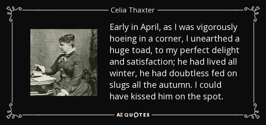 Early in April, as I was vigorously hoeing in a corner, I unearthed a huge toad, to my perfect delight and satisfaction; he had lived all winter, he had doubtless fed on slugs all the autumn. I could have kissed him on the spot. - Celia Thaxter