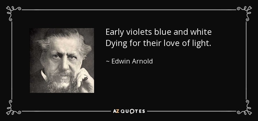 Early violets blue and white Dying for their love of light. - Edwin Arnold