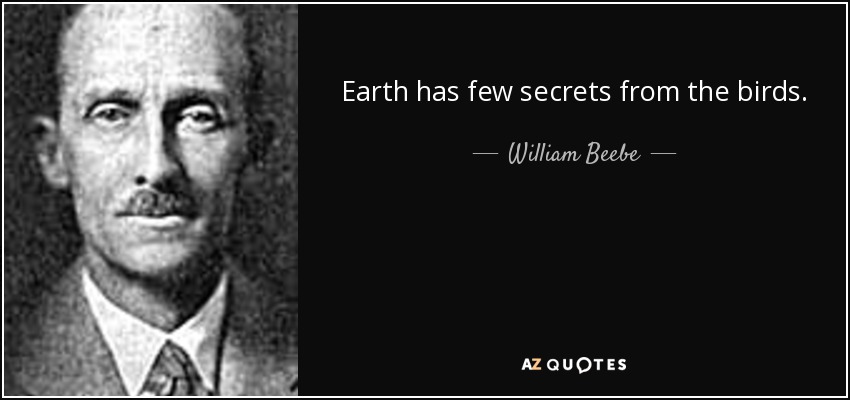 Earth has few secrets from the birds. - William Beebe