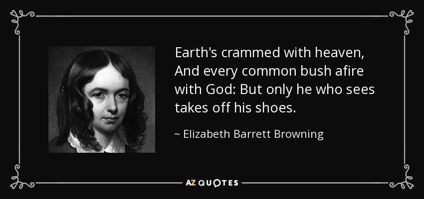 Earth's crammed with heaven, And every common bush afire with God: But only he who sees takes off his shoes. - Elizabeth Barrett Browning