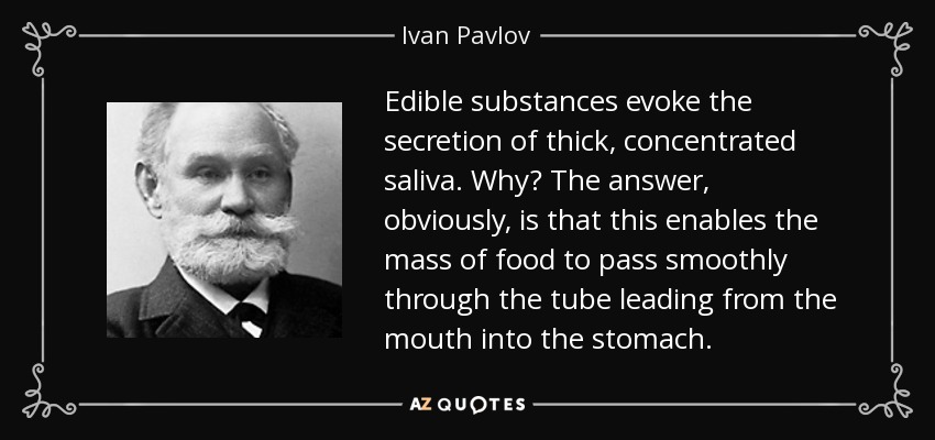 Edible substances evoke the secretion of thick, concentrated saliva. Why? The answer, obviously, is that this enables the mass of food to pass smoothly through the tube leading from the mouth into the stomach. - Ivan Pavlov
