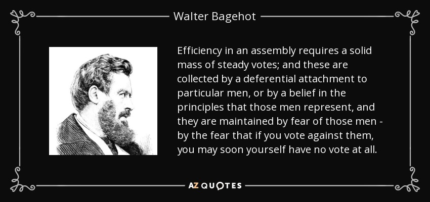 Efficiency in an assembly requires a solid mass of steady votes; and these are collected by a deferential attachment to particular men, or by a belief in the principles that those men represent, and they are maintained by fear of those men - by the fear that if you vote against them, you may soon yourself have no vote at all. - Walter Bagehot