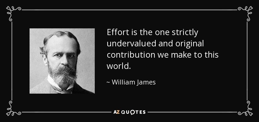 Effort is the one strictly undervalued and original contribution we make to this world. - William James