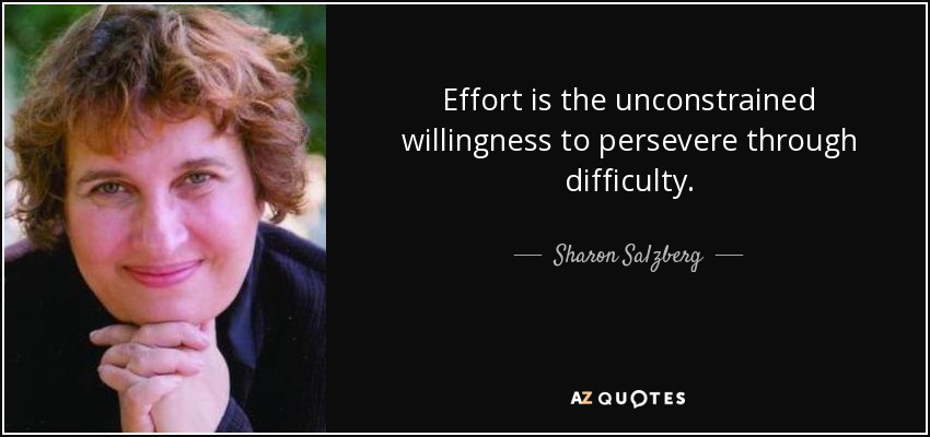 Effort is the unconstrained willingness to persevere through difficulty. - Sharon Salzberg