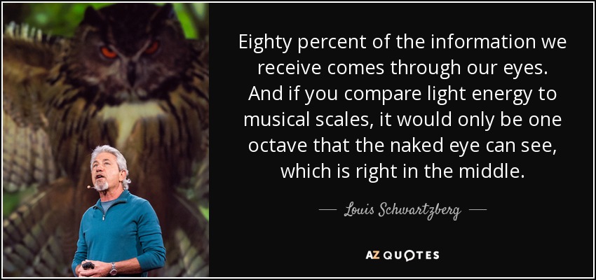 Eighty percent of the information we receive comes through our eyes. And if you compare light energy to musical scales, it would only be one octave that the naked eye can see, which is right in the middle. - Louis Schwartzberg
