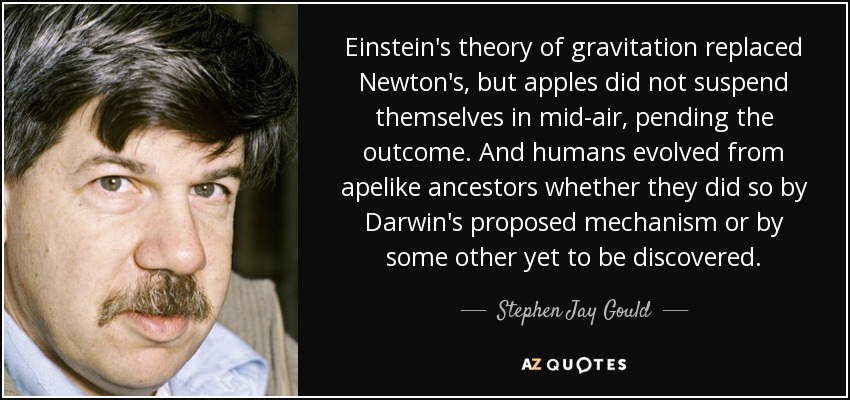 Einstein's theory of gravitation replaced Newton's, but apples did not suspend themselves in mid-air, pending the outcome. And humans evolved from apelike ancestors whether they did so by Darwin's proposed mechanism or by some other yet to be discovered. - Stephen Jay Gould