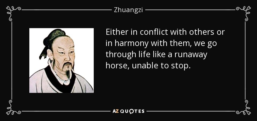 Either in conflict with others or in harmony with them, we go through life like a runaway horse, unable to stop. - Zhuangzi