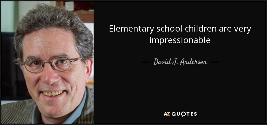 Elementary school children are very impressionable - David J. Anderson