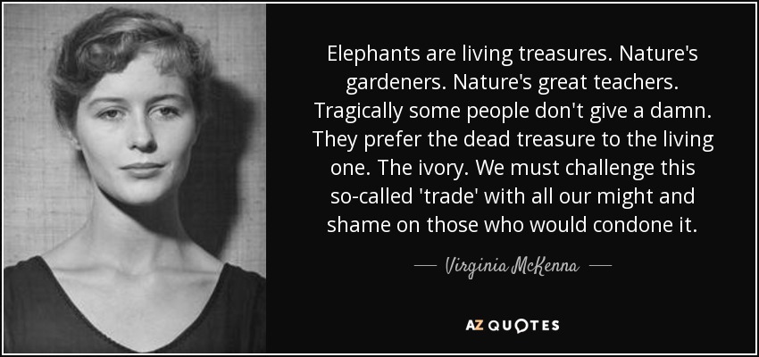 Elephants are living treasures. Nature's gardeners. Nature's great teachers. Tragically some people don't give a damn. They prefer the dead treasure to the living one. The ivory. We must challenge this so-called 'trade' with all our might and shame on those who would condone it. - Virginia McKenna