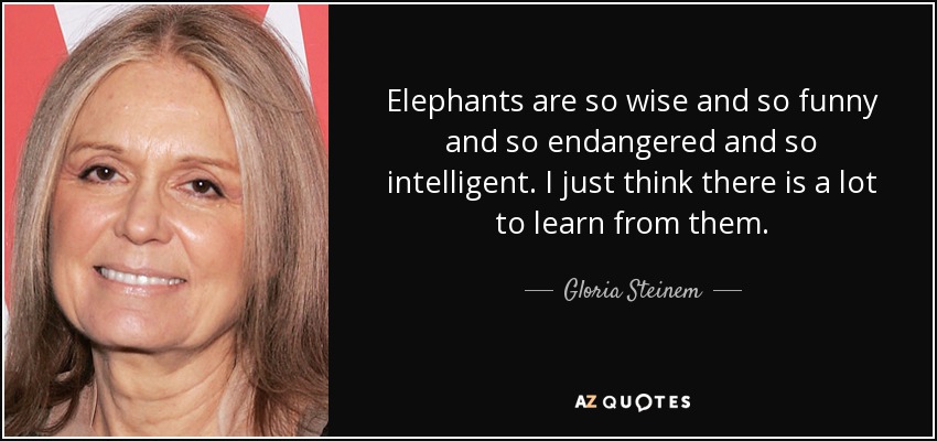 Elephants are so wise and so funny and so endangered and so intelligent. I just think there is a lot to learn from them. - Gloria Steinem