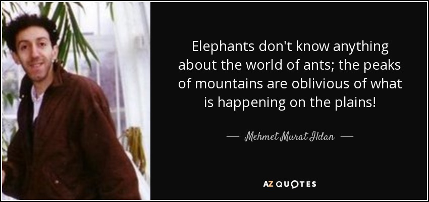 Elephants don't know anything about the world of ants; the peaks of mountains are oblivious of what is happening on the plains! - Mehmet Murat Ildan