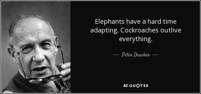 Elephants have a hard time adapting. Cockroaches outlive everything. - Peter Drucker