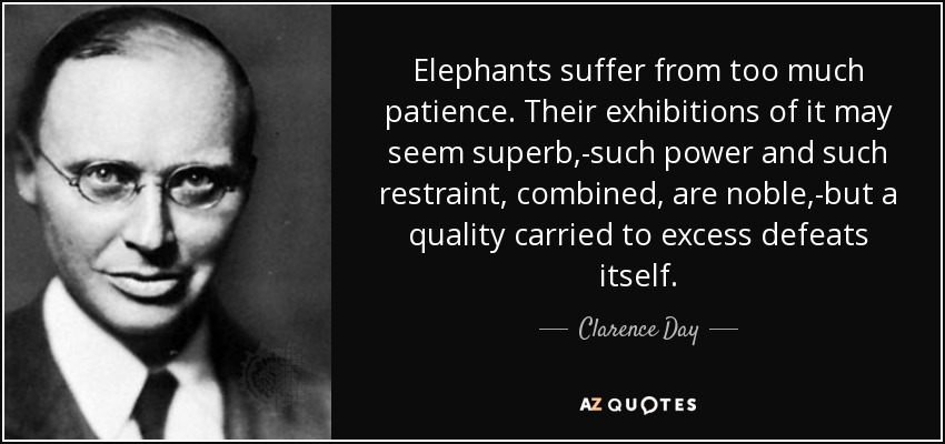 Elephants suffer from too much patience. Their exhibitions of it may seem superb,-such power and such restraint, combined, are noble,-but a quality carried to excess defeats itself. - Clarence Day