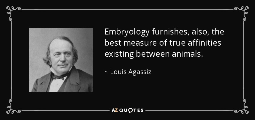 Embryology furnishes, also, the best measure of true affinities existing between animals. - Louis Agassiz